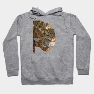 Chameleon Hanging On A Wire Fence Vector Cut Out Hoodie